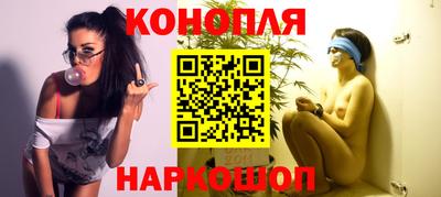 крисы Гудермес