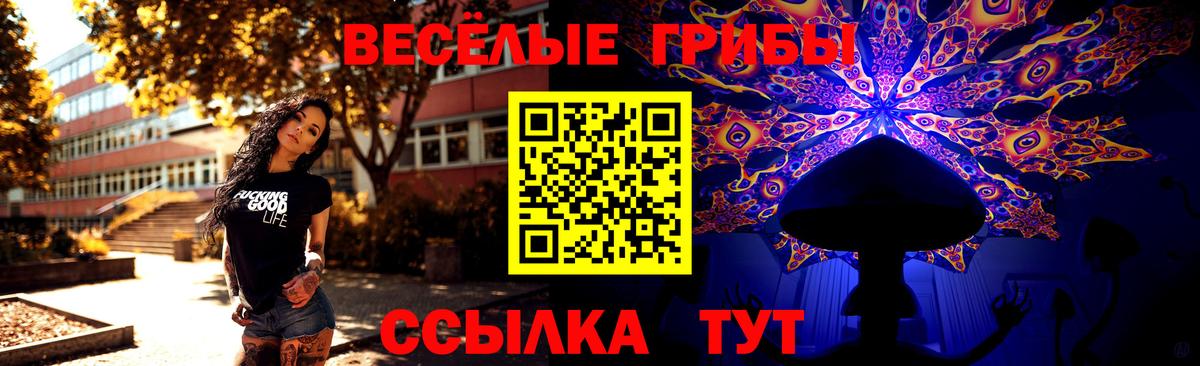 Псилоцибиновые грибы мицелий  Псилоцибиновые грибы прущие грибы  Вход с VPN  Знаменск 