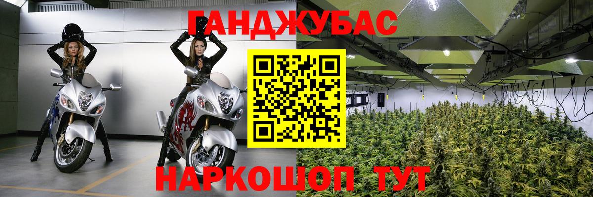 Конопля Bruce Banner  Вход с VPN  МАРИХУАНА White Widow  Знаменск  Канабис планчик  МАРИХУАНА White Widow 